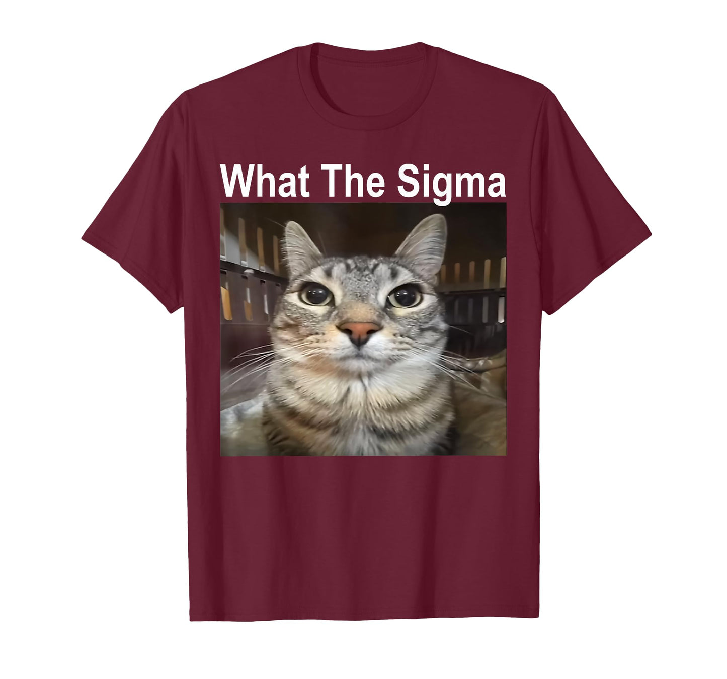 Funny Meme Cat What The Sigma Cute Cat Meme Quote T-Shirt for Men Women Kids