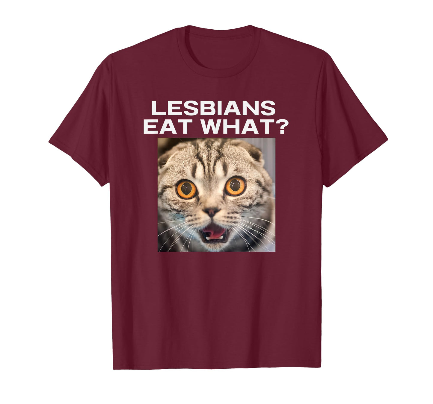 Lesbians Eat What Adult Humor Pun Gag Funny Statement Joke T-Shirt