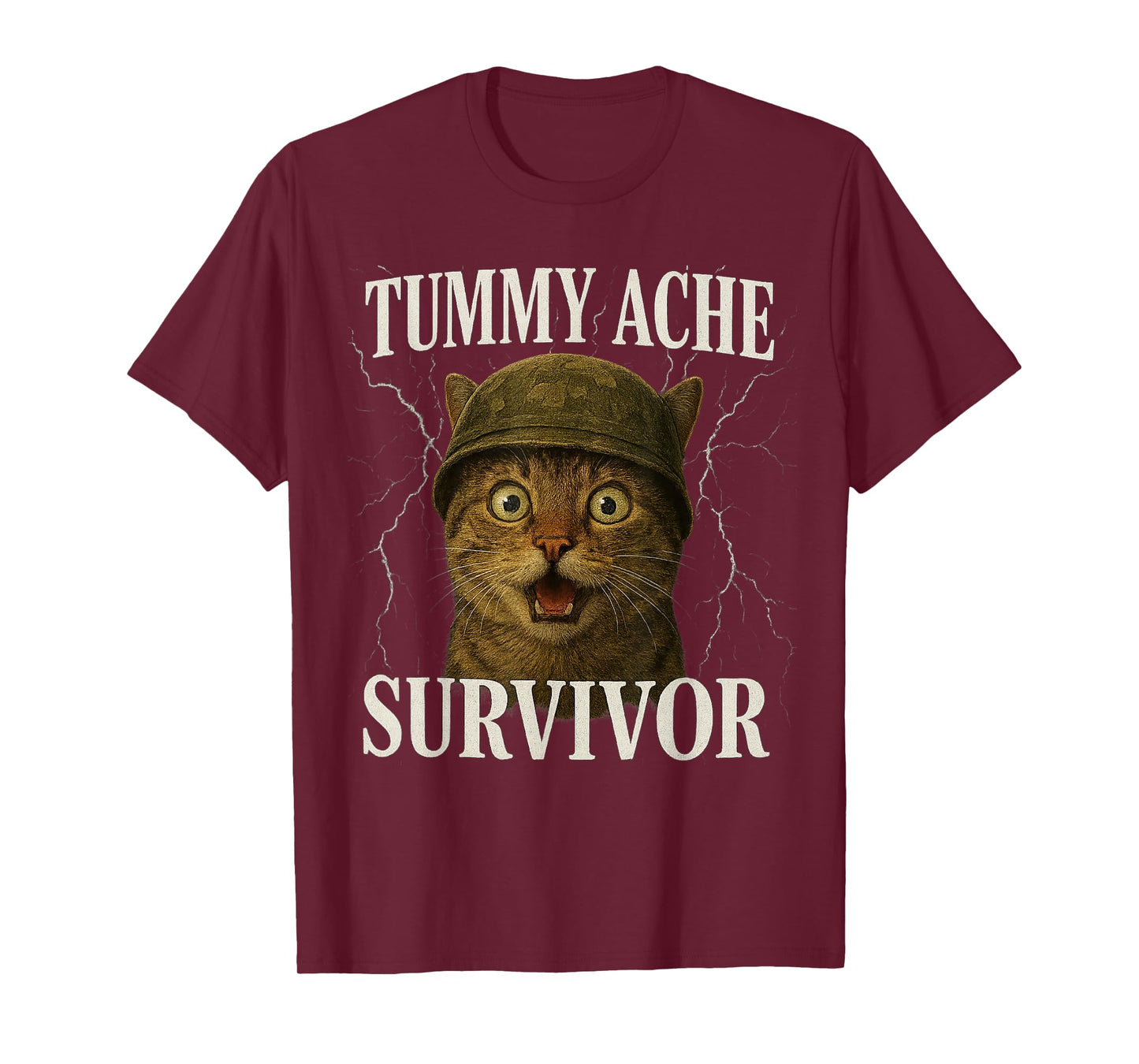 Funny Saying Cat Tummy Ache Survivor Meme Survived Today's T-Shirt
