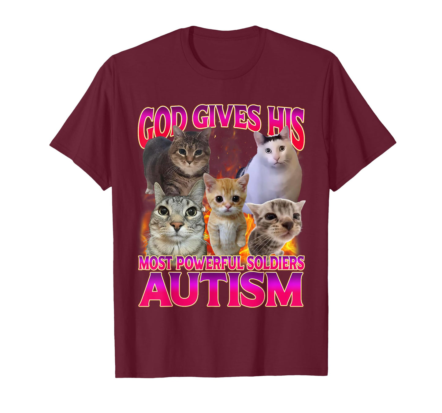 God Gives His Most Powerful Autism Funny Offensive Cat Meme T-Shirt