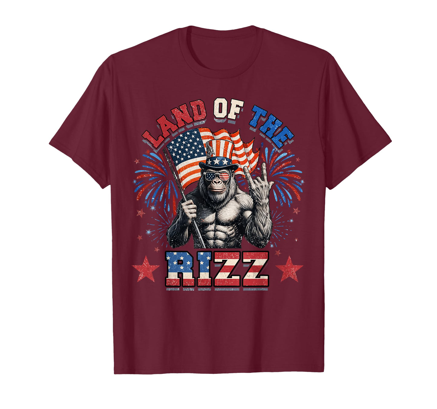 Land Of The Rizz 4th Of July T-Shirt