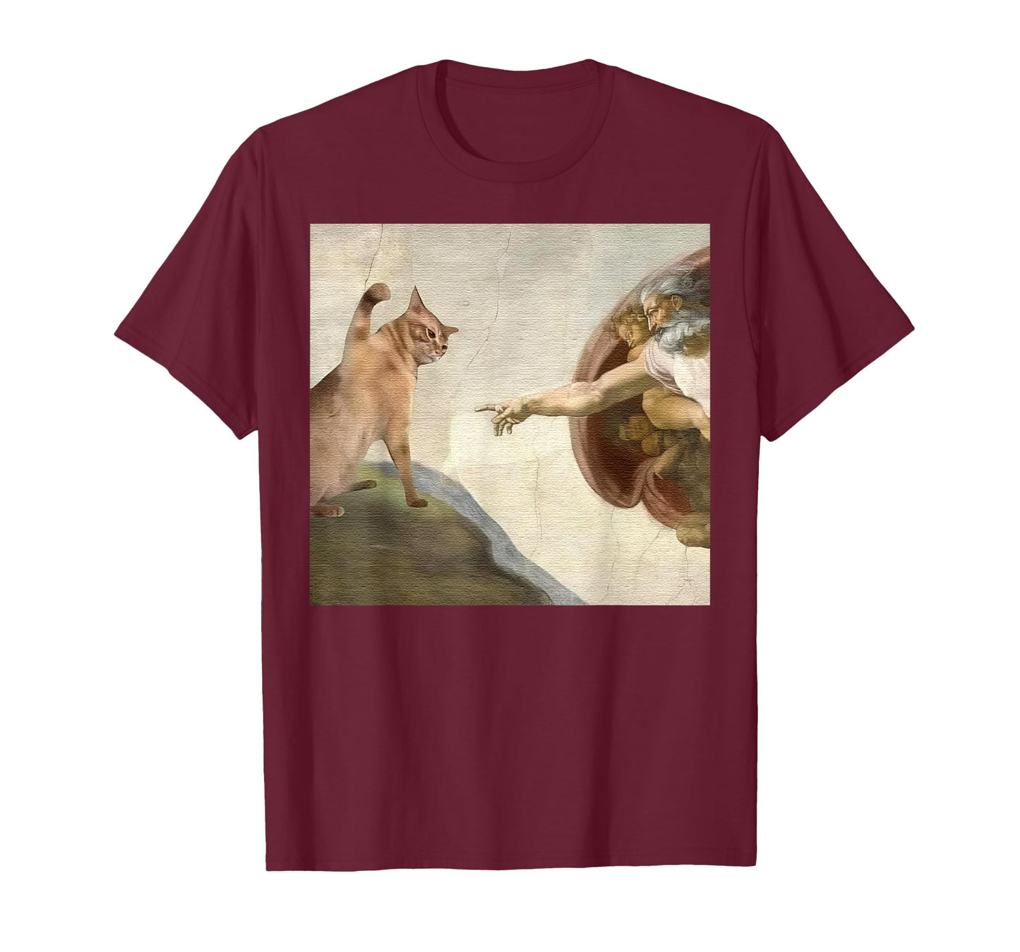 The Divine Swipe Funny Cat Swatting God's Hand Parody Cat T-Shirt