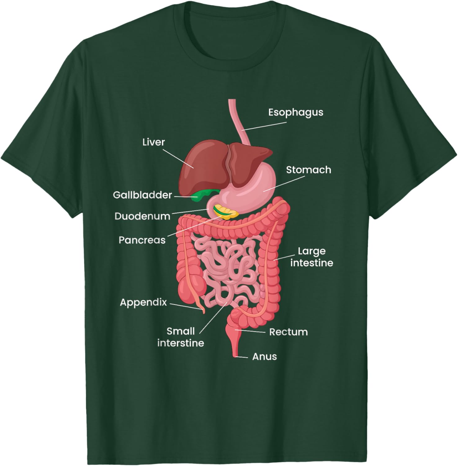 Biological Apparel -Adults Anatomy Digestive System Black Small Classic Short Sleeve T-Shirt - T-Shirt | Forest