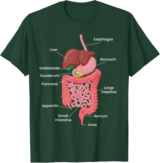 Biological Apparel -Adults Anatomy Digestive System Black Small Classic Short Sleeve T-Shirt - T-Shirt | Forest