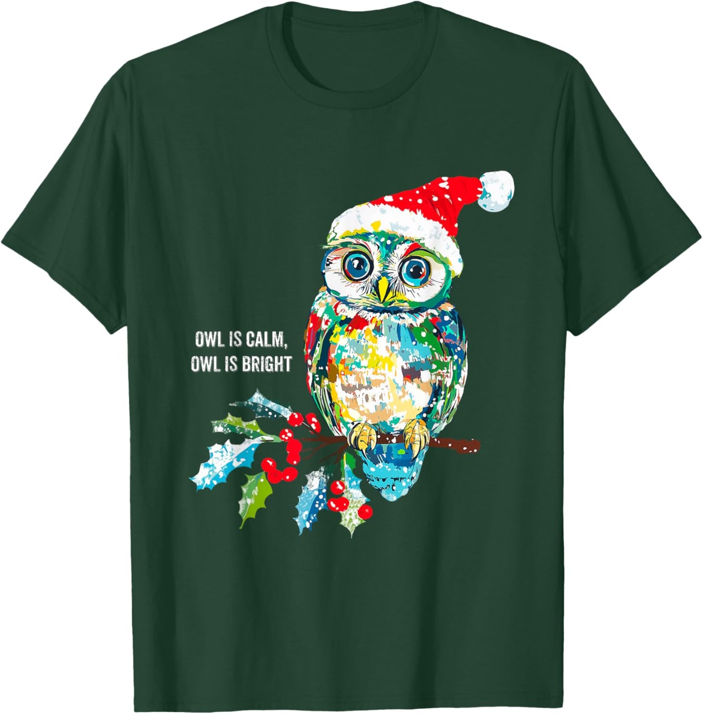 Funny Owl Wearing Santa Claus Hat Christmas Holiday Meme T-Shirt - T-Shirt | Forest
