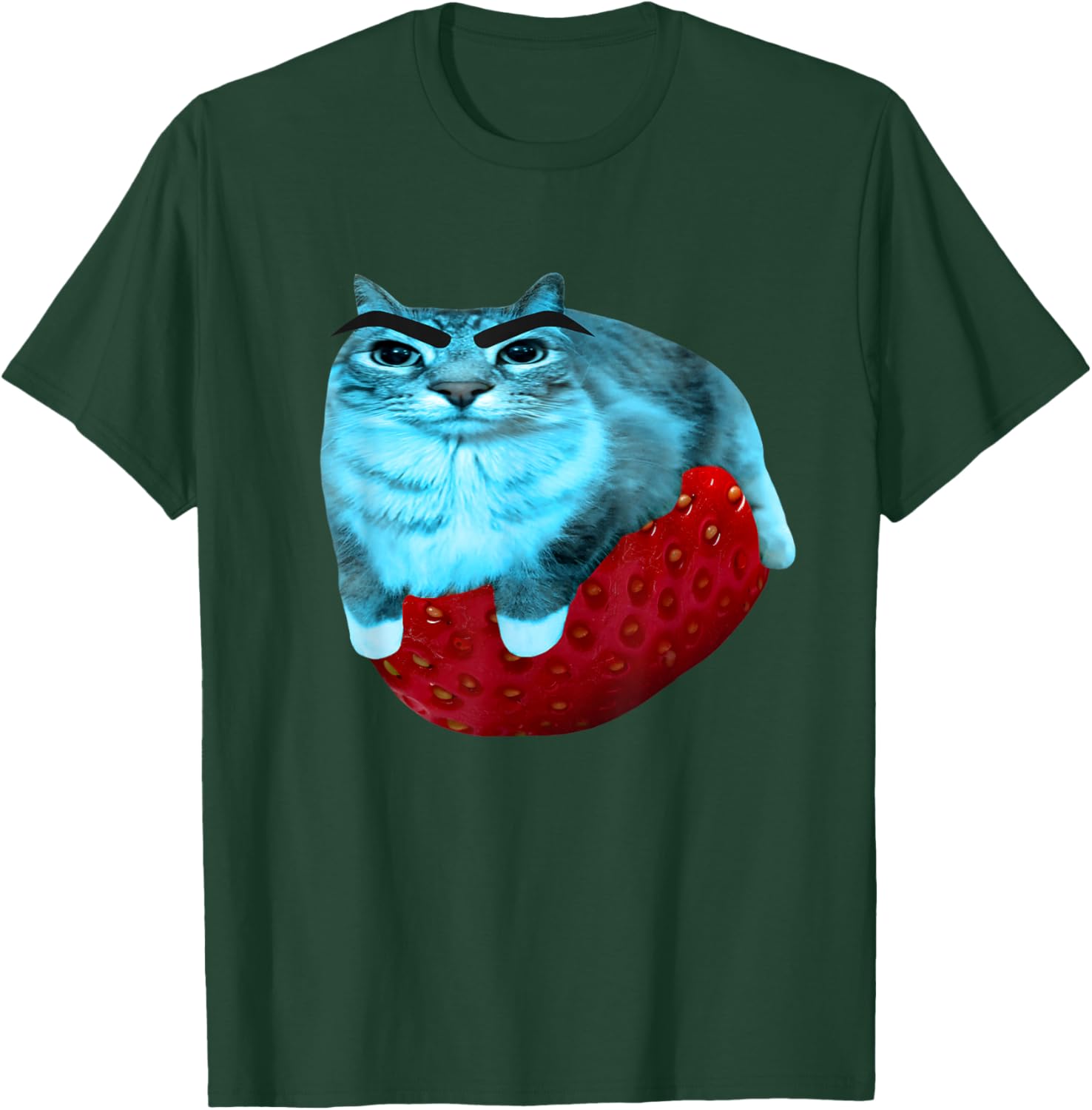Strawberry Watermelon Cat Silly Cat Meme T-Shirt - T-Shirt | Forest