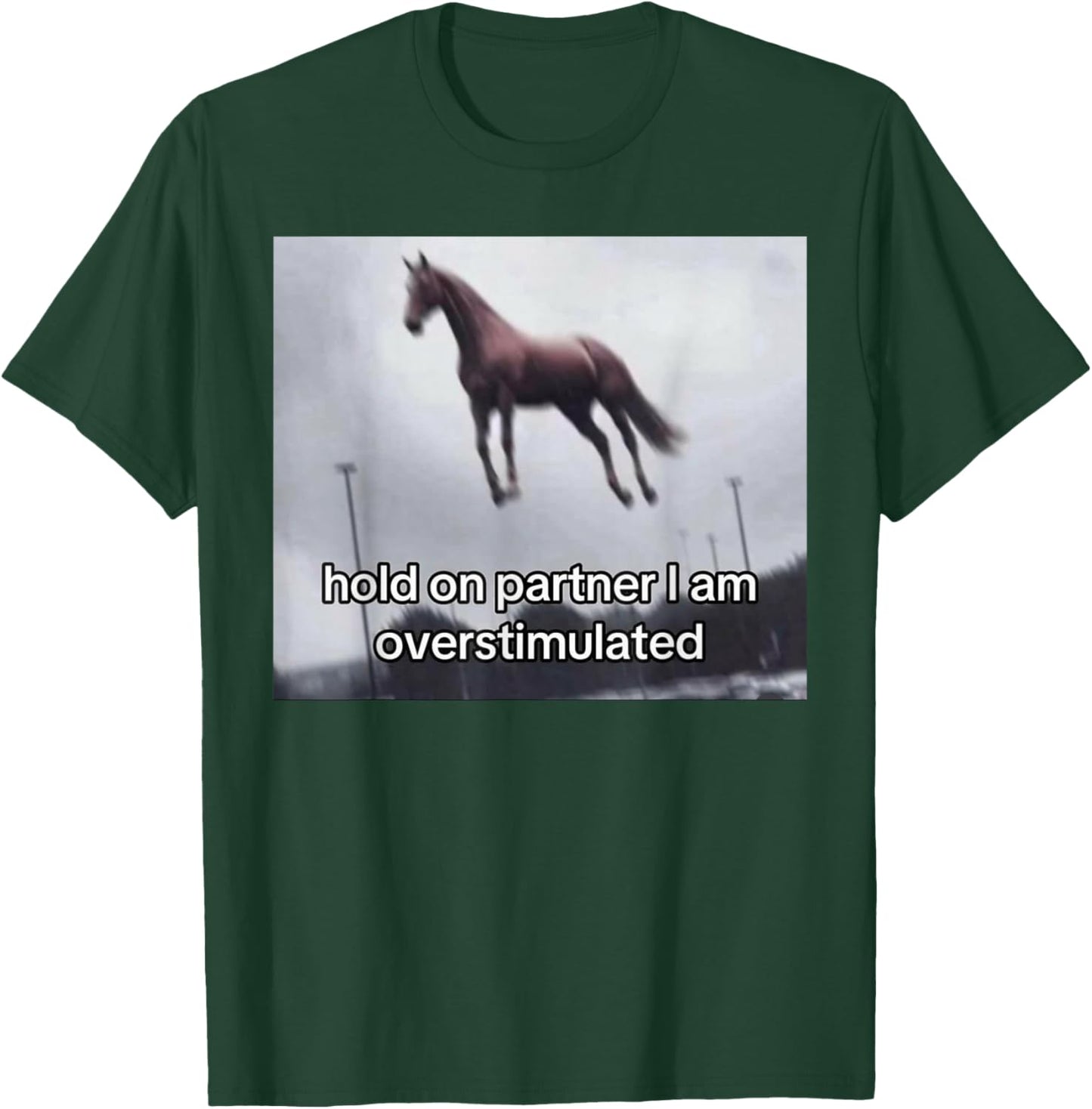 Vintage 1977 Groovy Hold On Partner I'm Overstimulated Western Horse - -Adults, Black, Small, Short Sleeve T-Shirt - T-Shirt | Forest