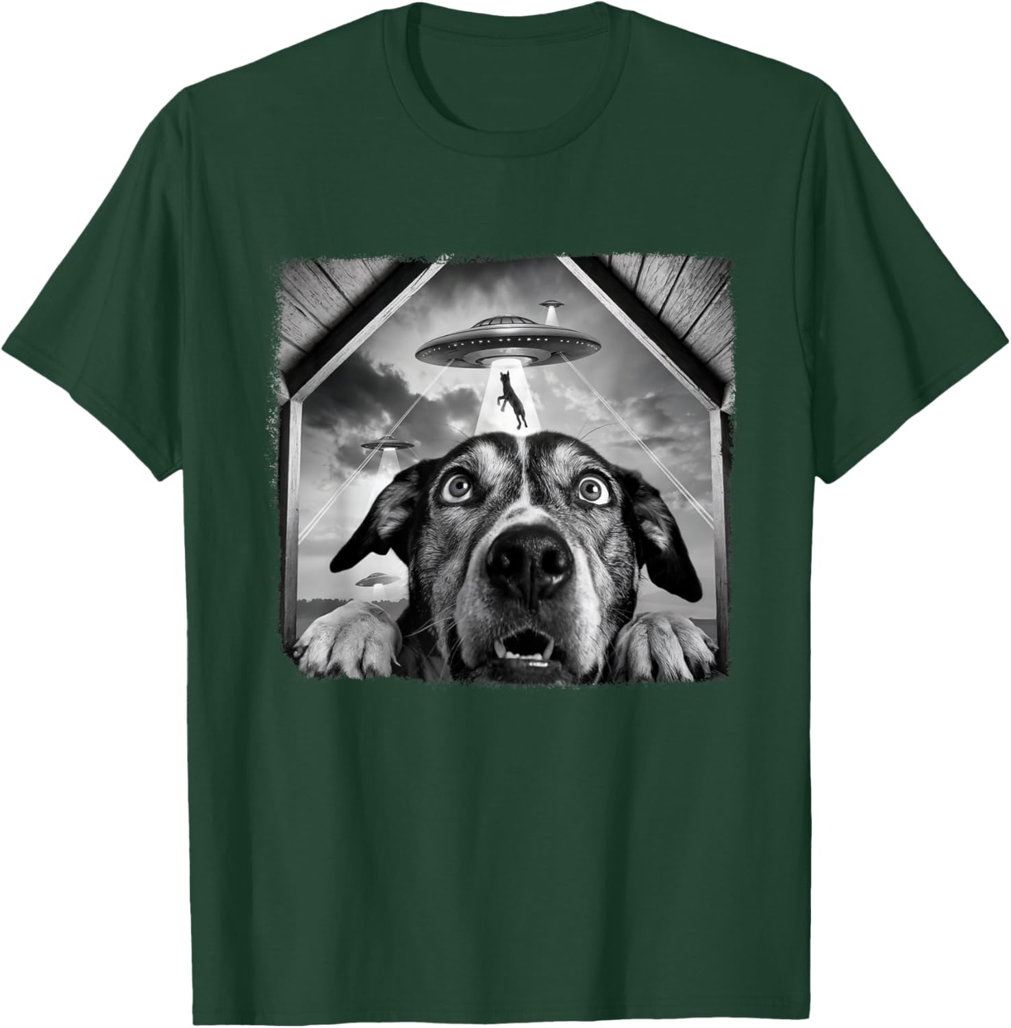 Dog Abducted By Aliens Funny Halloween Ufo Dog Mom Dad Women T-Shirt - T-Shirt | Forest