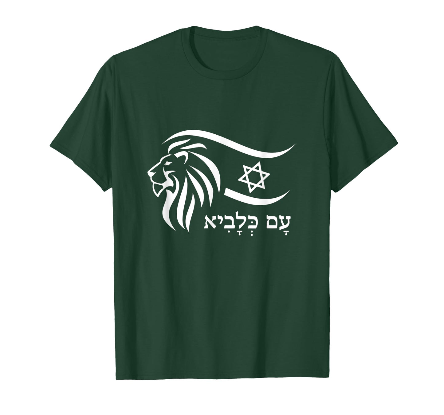 Rising Lion Nation Of Israel Jewish Bible Am Israel Chai T-Shirt