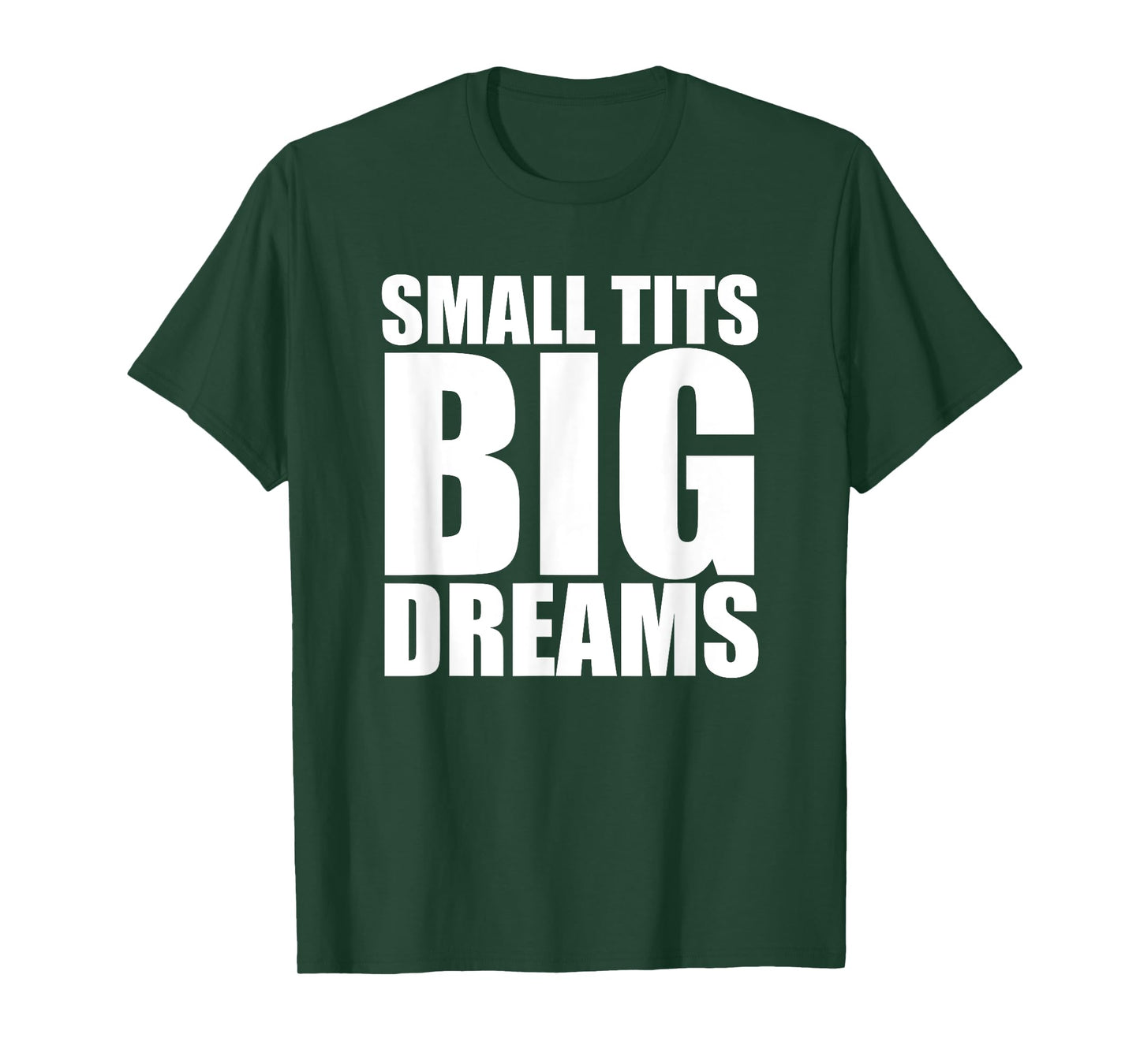 Small Tits Big Dreams Funny Women's Raunchy T-Shirt