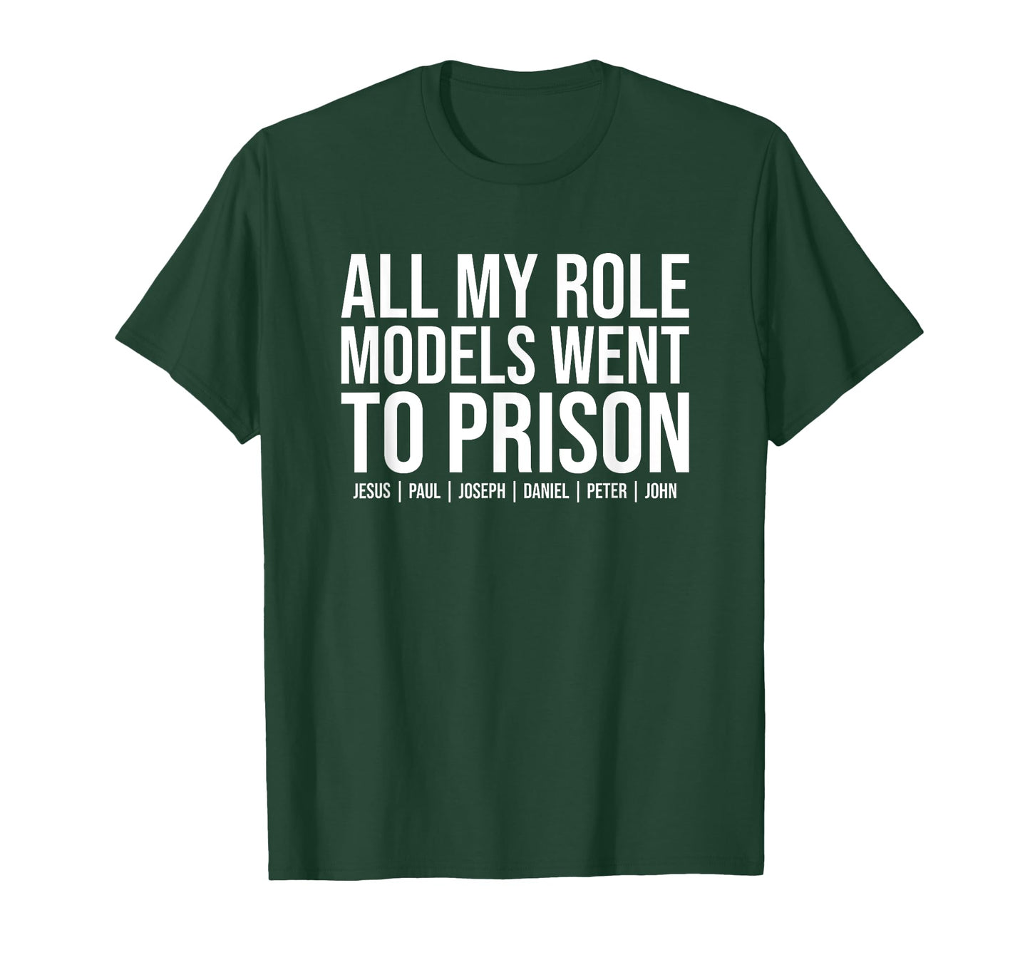 All My Role Models Went To Prison - Jesus Christian Faith T-Shirt