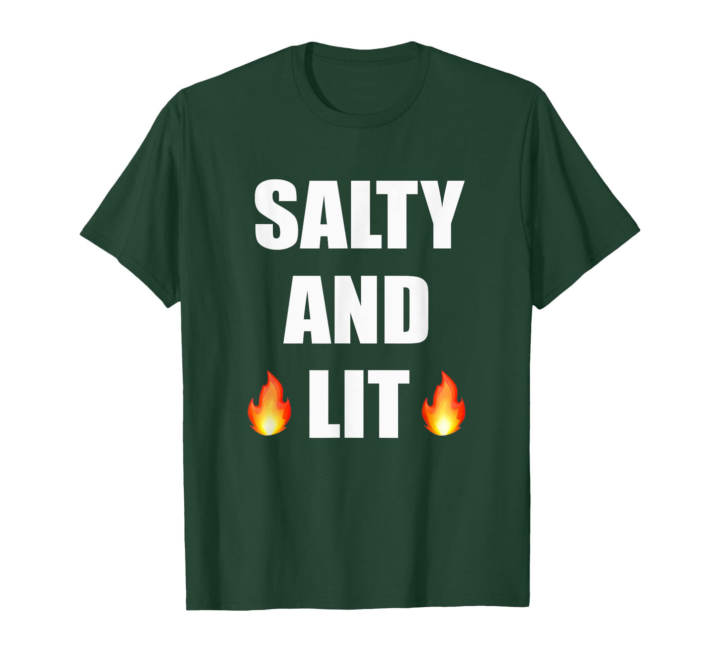 Salty And Lit T Shirt Christian Bold Faith Hope Joy Tee T-Shirt