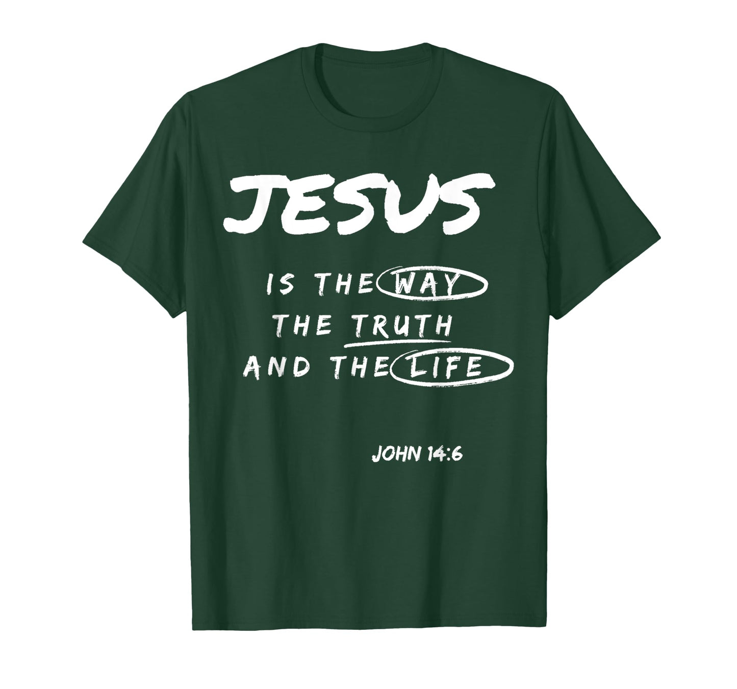 Funny Jesus is The Way The Truth and The Life Christian Gift T-Shirt