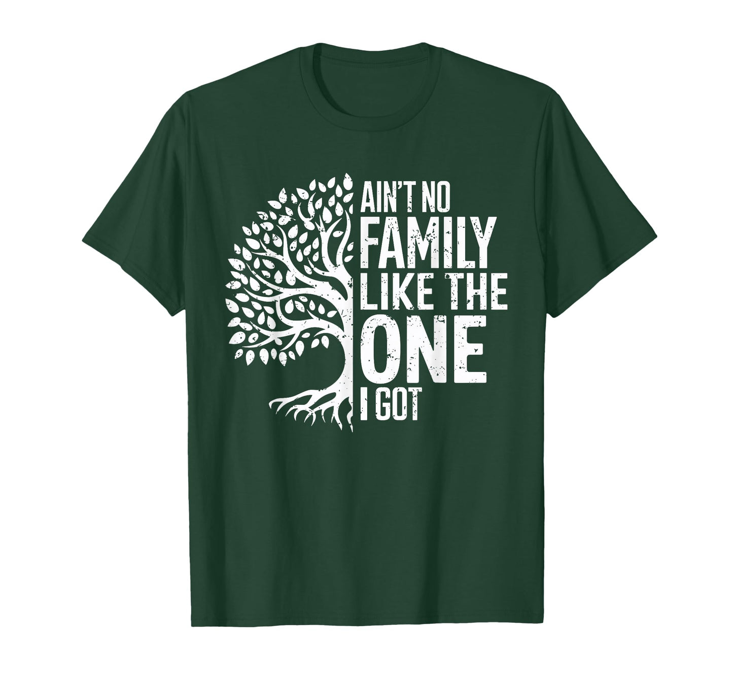 Ain't No Family Like The One I Got Funny Family Reunion 2025 T-Shirt