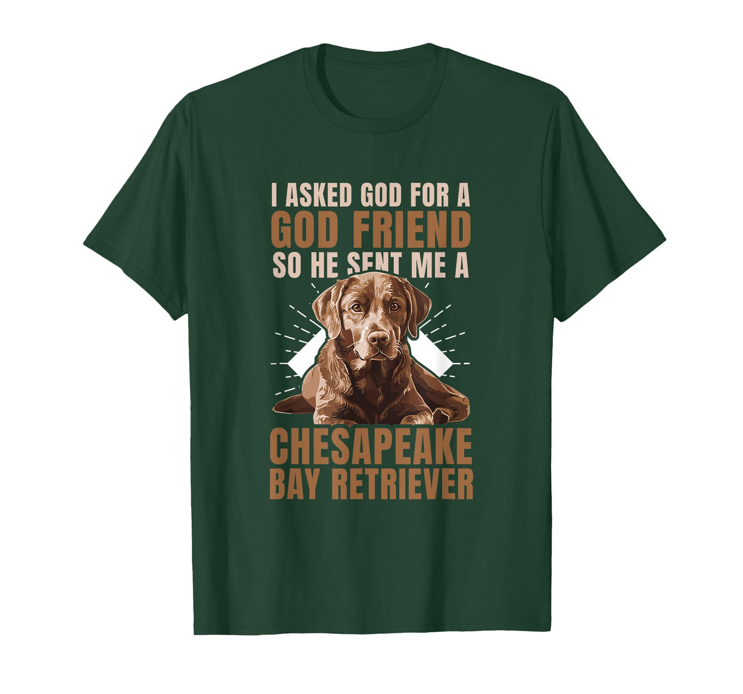 God Sent Me A Chesapeake Bay Retriever Dog Owner T-Shirt