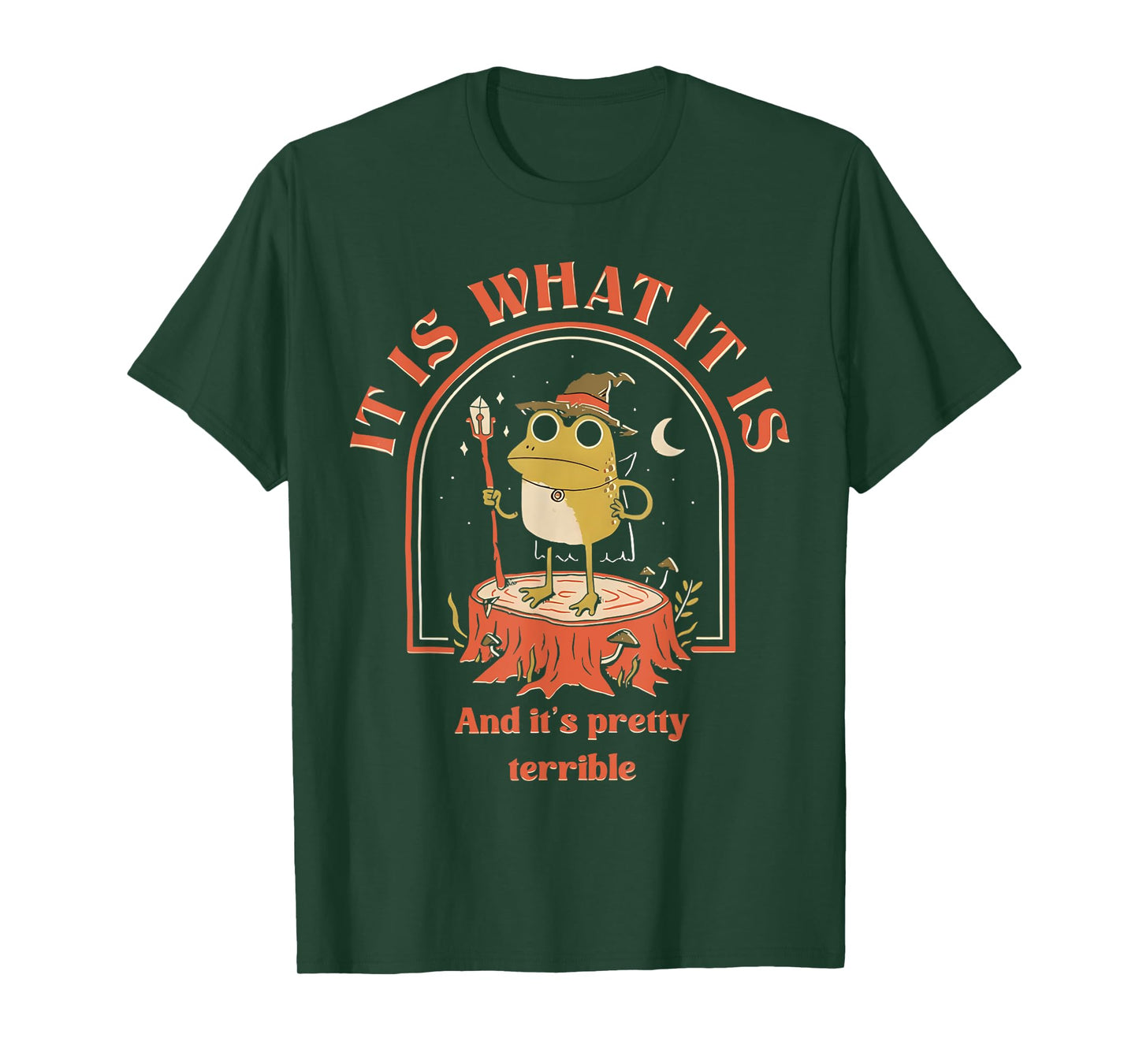 It Is What It Is And It's Pretty Terrible Frog Meme T-Shirt