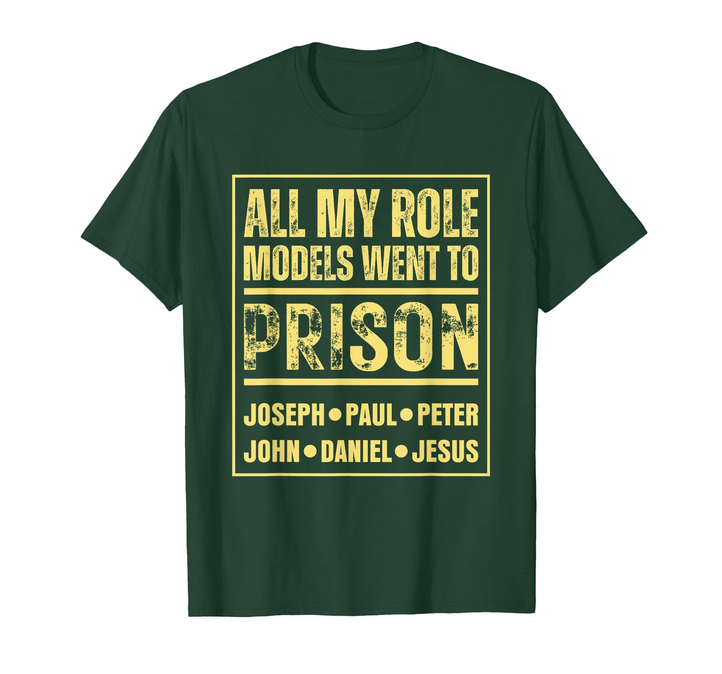 All My Role Models Went To Prison Jesus Paul T-Shirt