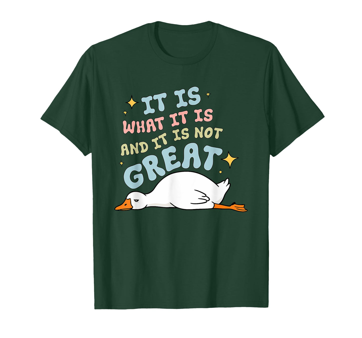 It Is What It Is And It Is Not Great Funny Goose Design T-Shirt