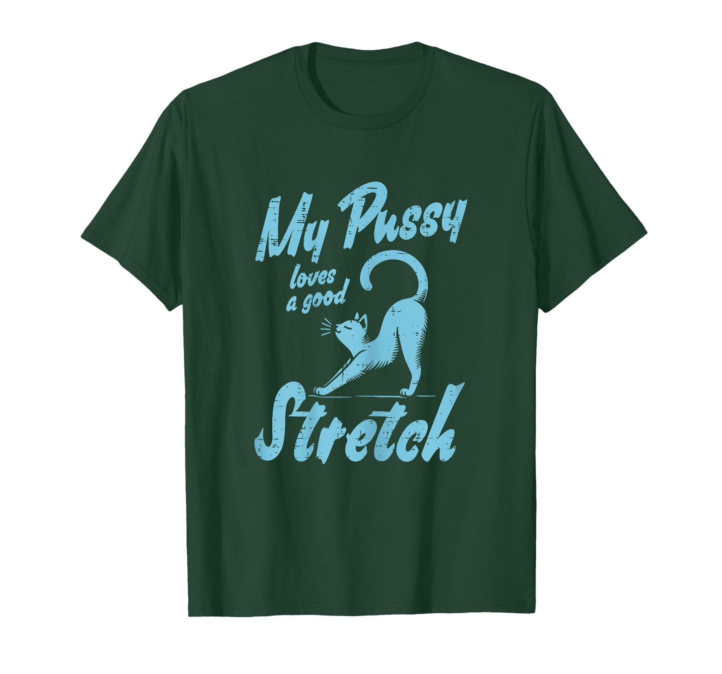 Inappropriate Cat Loves Good Stretch Funny Adult Humor Women T-Shirt