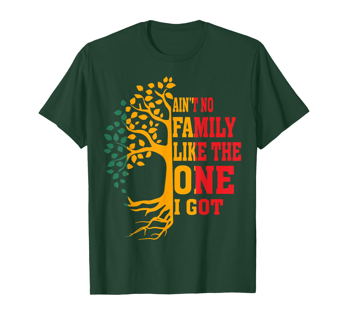 Ain't No Family Like The One I Got Funny Family Reunion 2024 T-Shirt