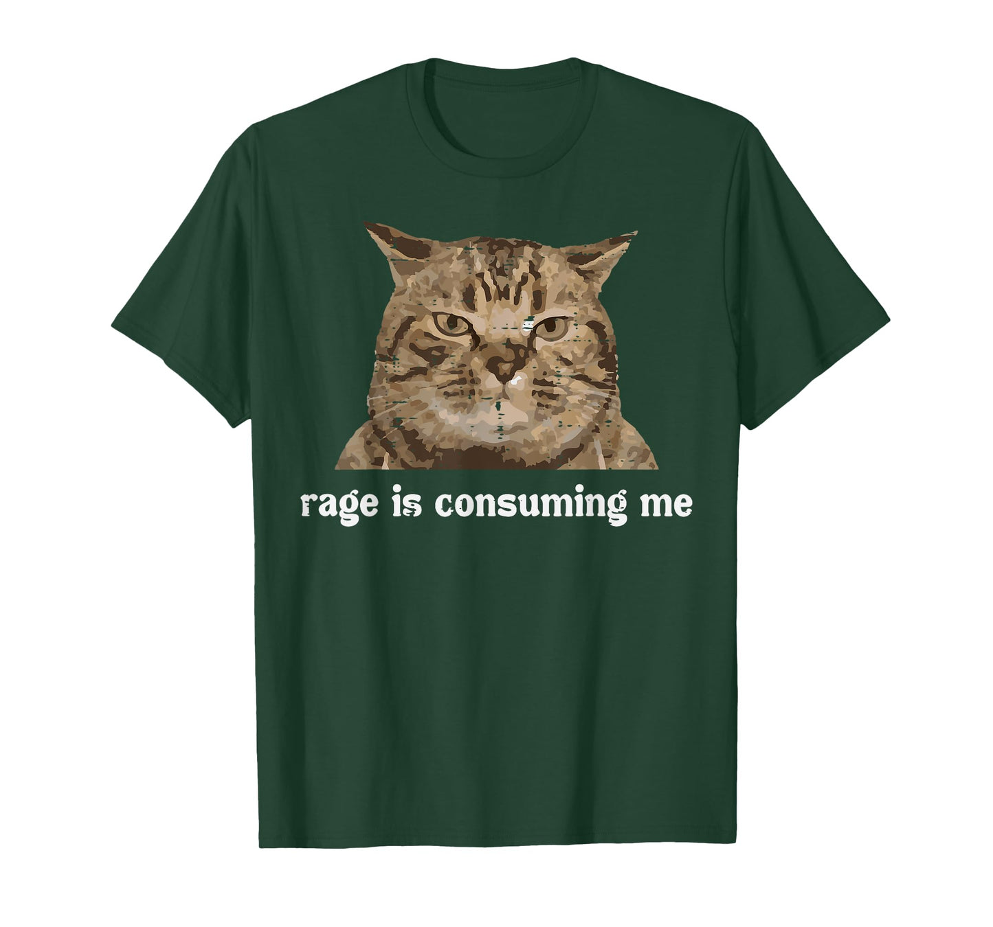 Rage Is Consuming Me Funny Cat Silly Saying Meme Women Men T-Shirt