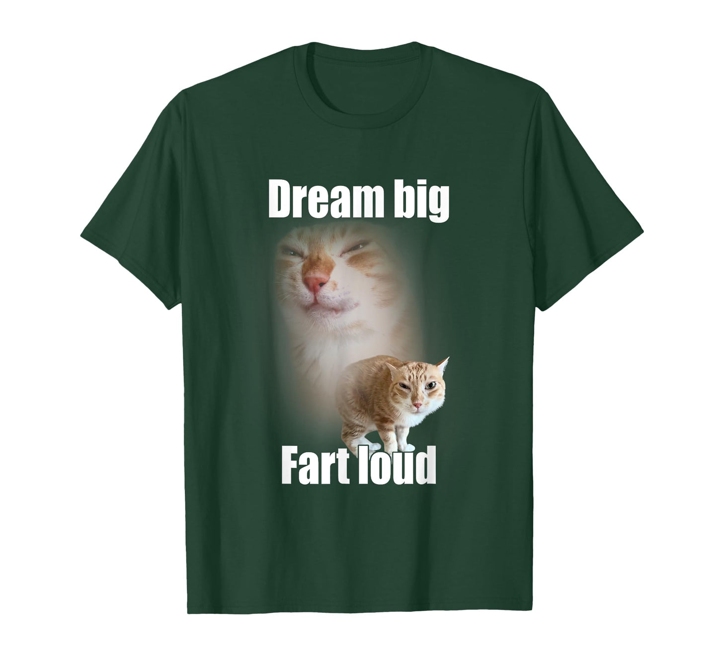 Dream Big Fart Loud Cat Meme Funny Saying Men Women T-Shirt