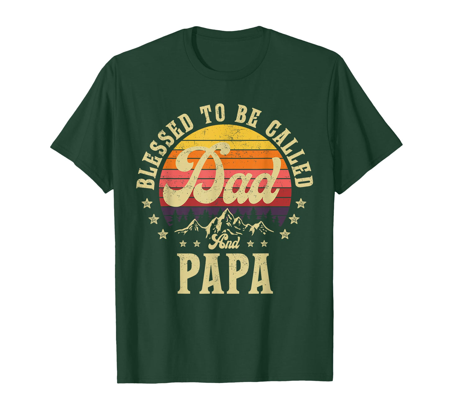 Blessed To Be Called Dad And Papa Gifts Vintage Emblem T-Shirt