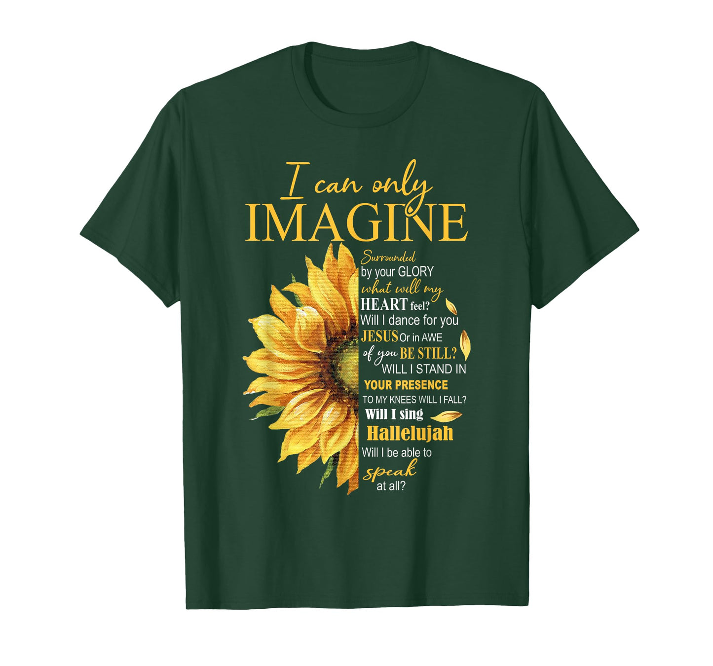 I Only Can Imagine Faith Christian Catholic Jesus God Lover T-Shirt