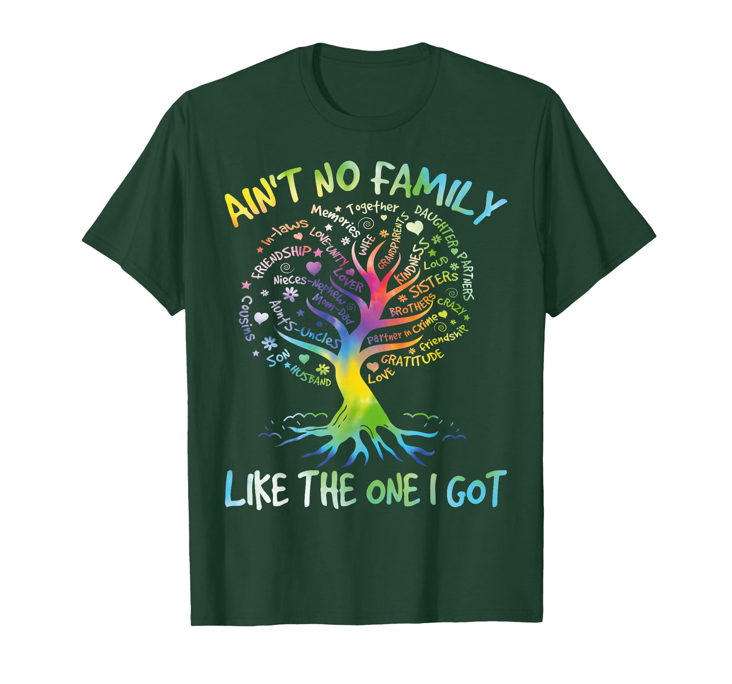 Ain't No Family Like The One I Got Matching Family Reunion T-Shirt