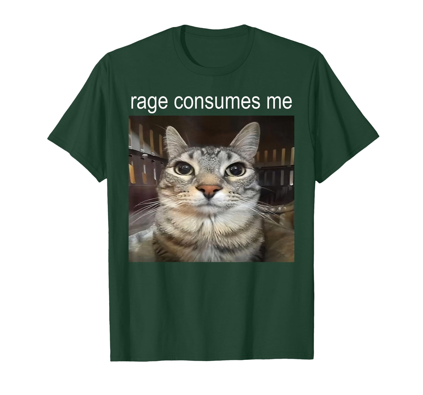 Funny Cat Meme Quote Retro Cat Lover Rage Consumes Me T-Shirt