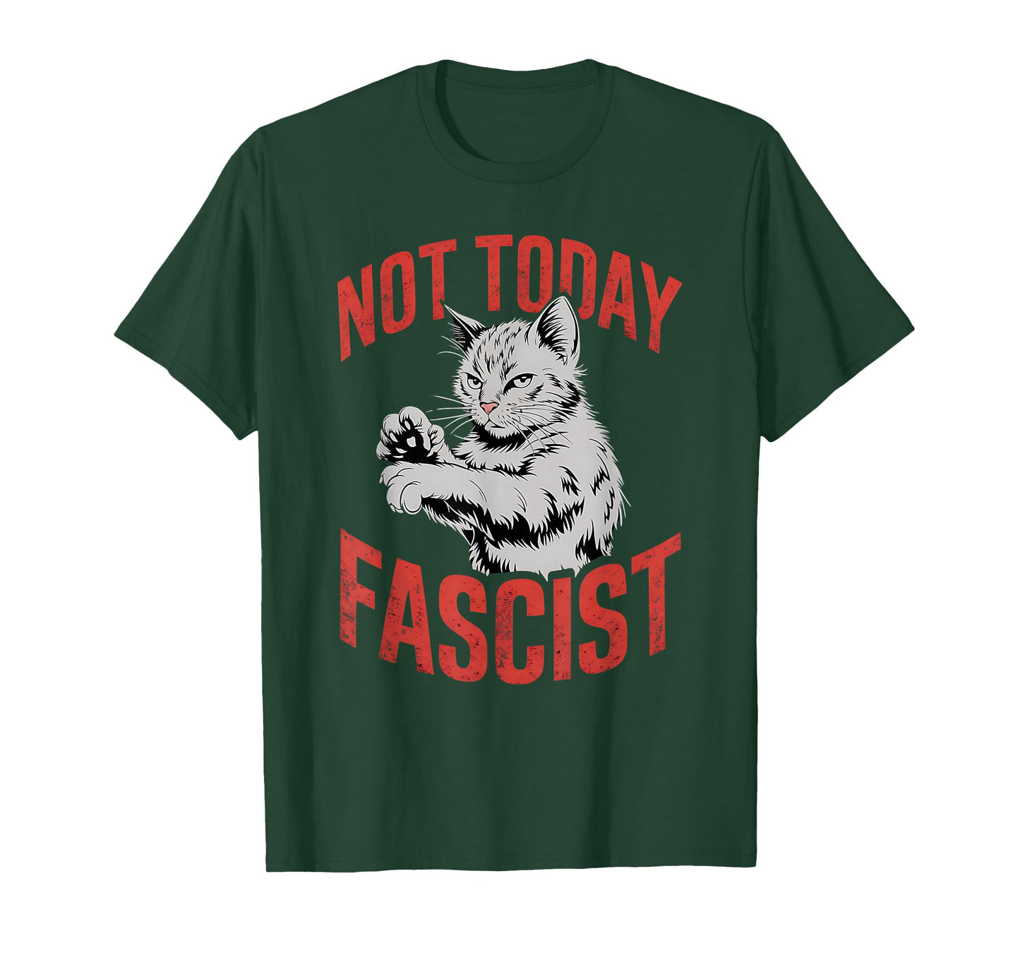 Not Today Fascist Funny Meme Fascism Women Men T-Shirt