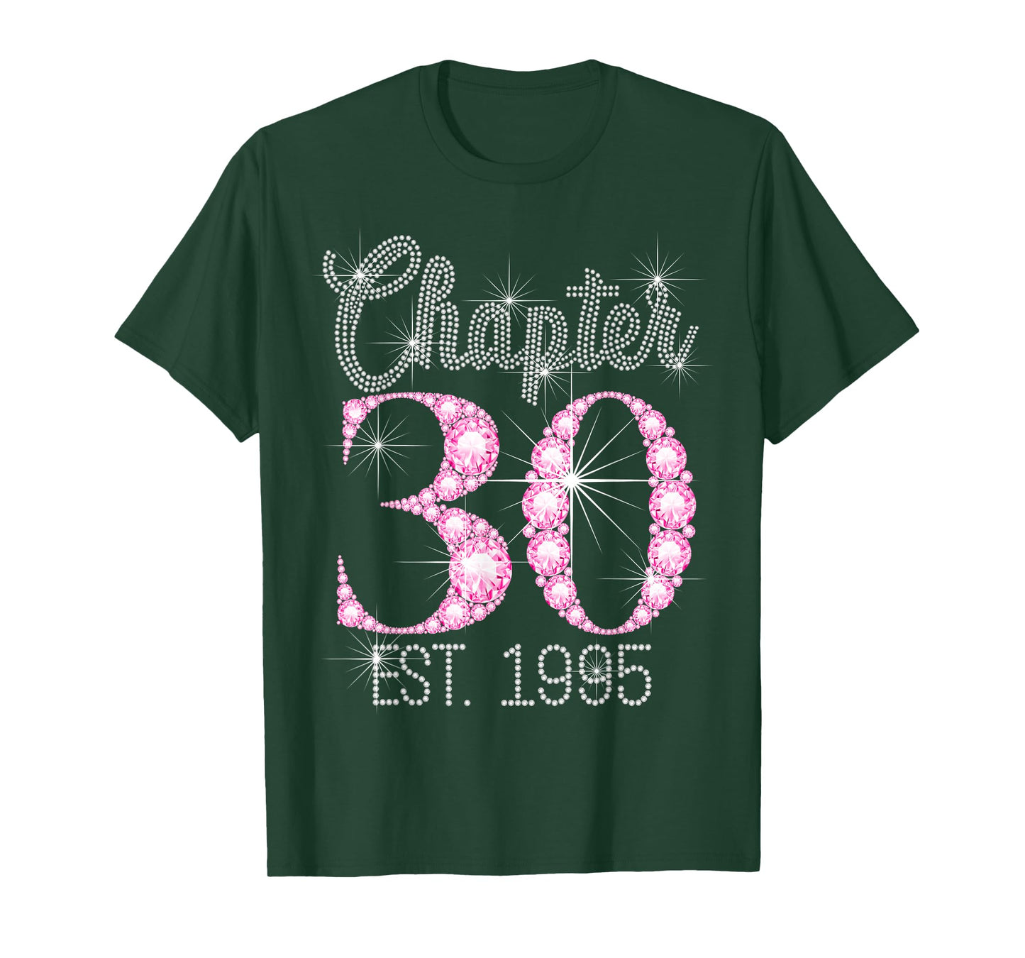 Chapter 30 EST 1995 30Th Birthday T-Shirt