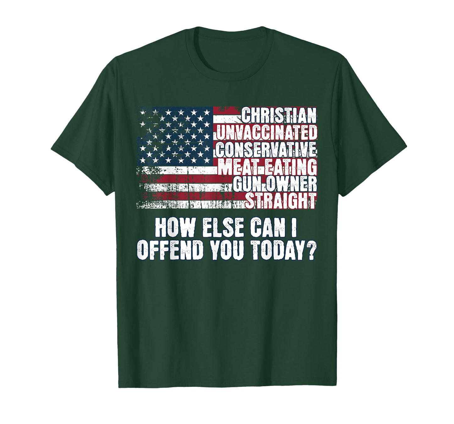 Christian Conservative... How Else Can I Offend You Today T-Shirt
