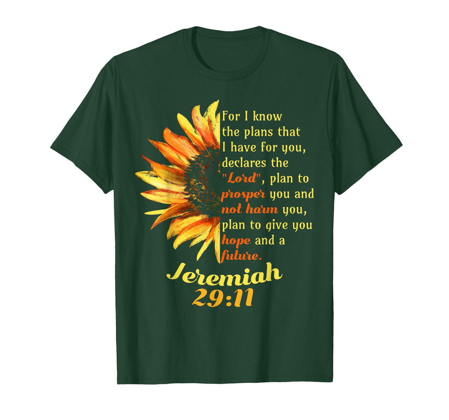 Jeremiah 29:11 Bible Christian Christian T-Shirt
