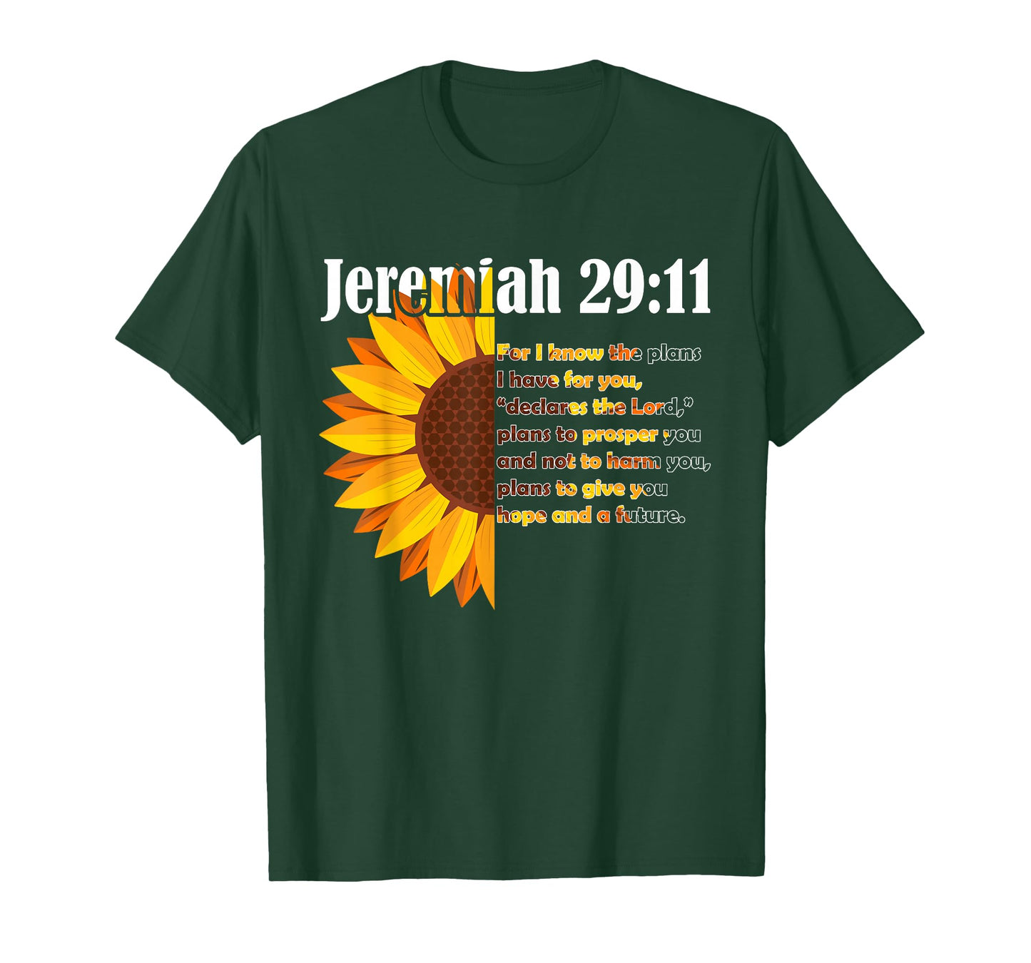 Jeremiah 29:11 Bible Christian Christian T-Shirt