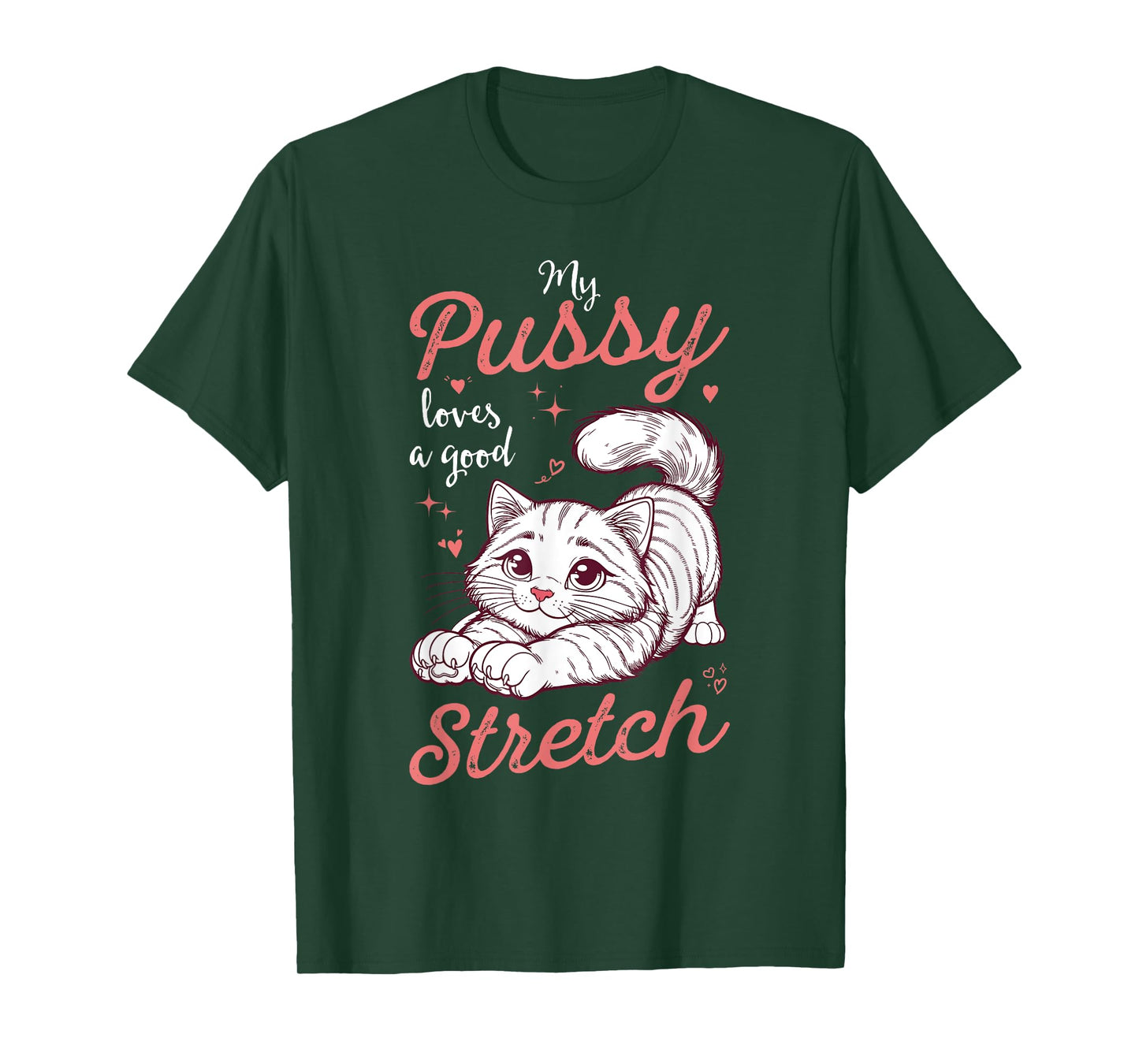 My Pussy Loves A Good Stretch Funny Inappropriate Womens T-Shirt