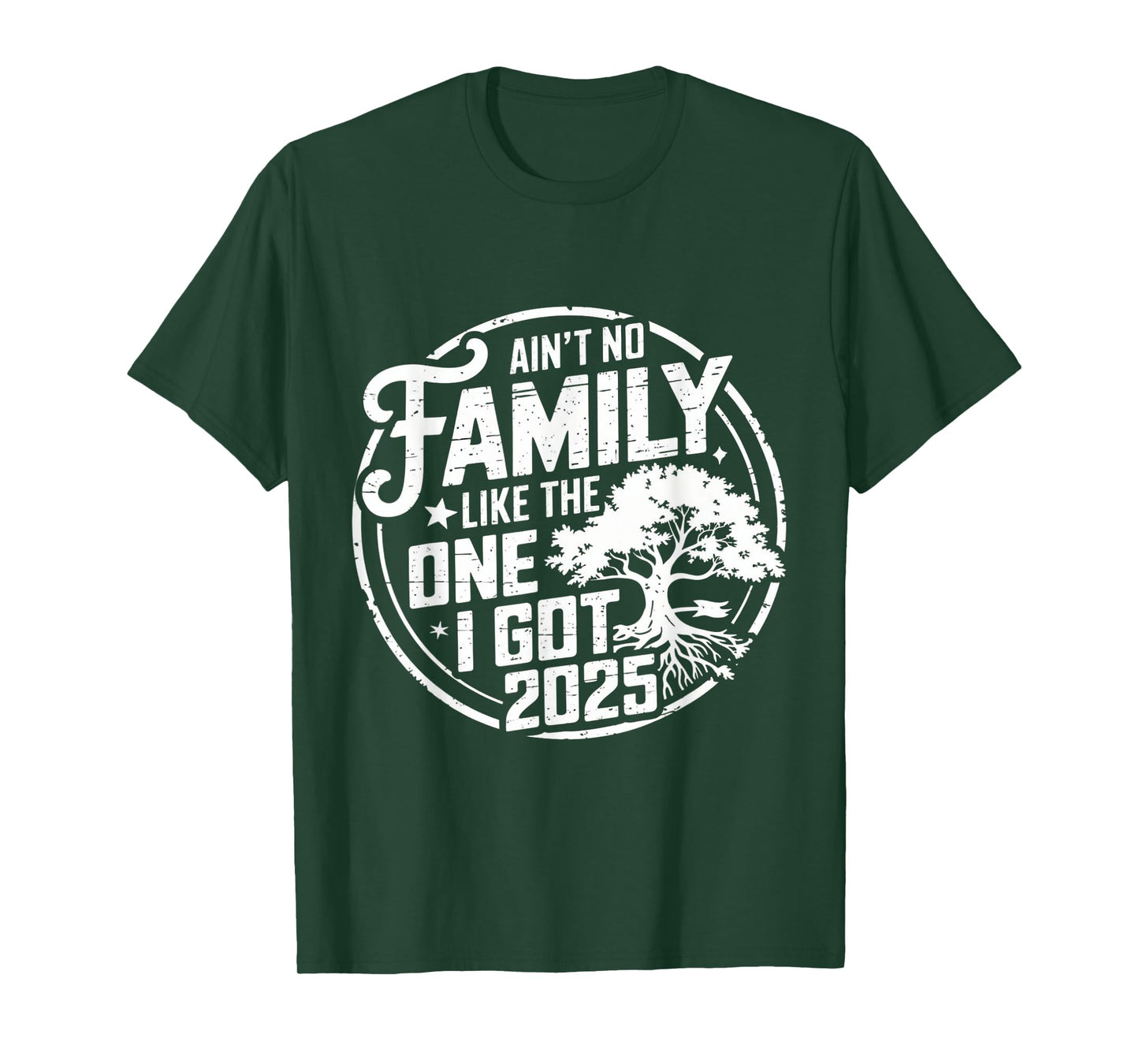Ain't No Family Like The One I Got Reunion 2025 funny T-Shirt