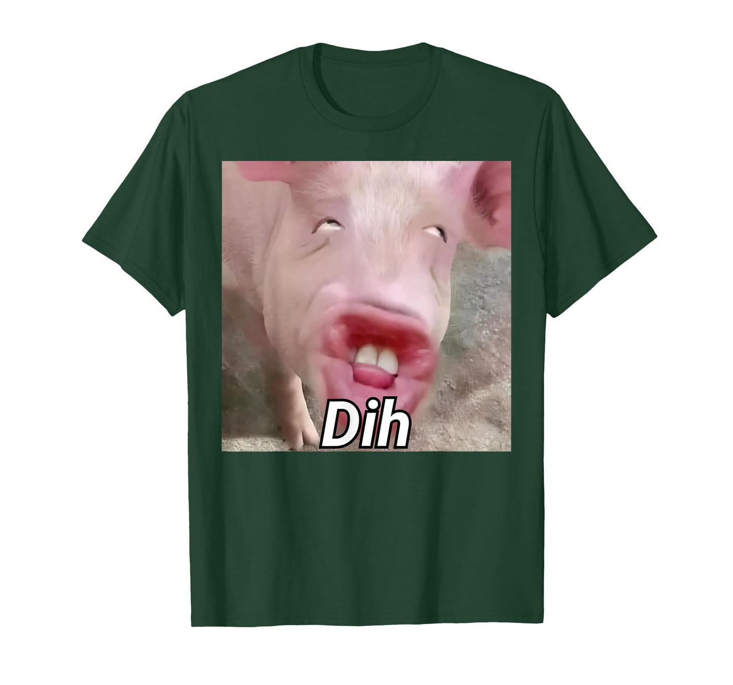 funny dih brainrot gen z humor pork meme dihh meme gen alpha T-Shirt