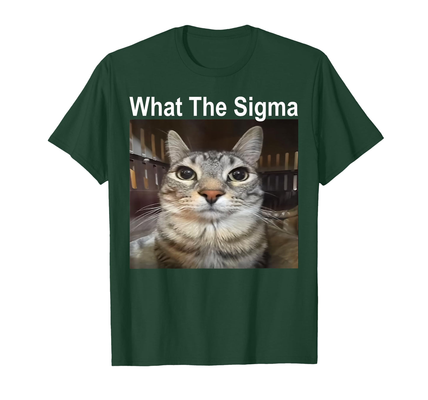Funny Meme Cat What The Sigma Cute Cat Meme Quote T-Shirt for Men Women Kids