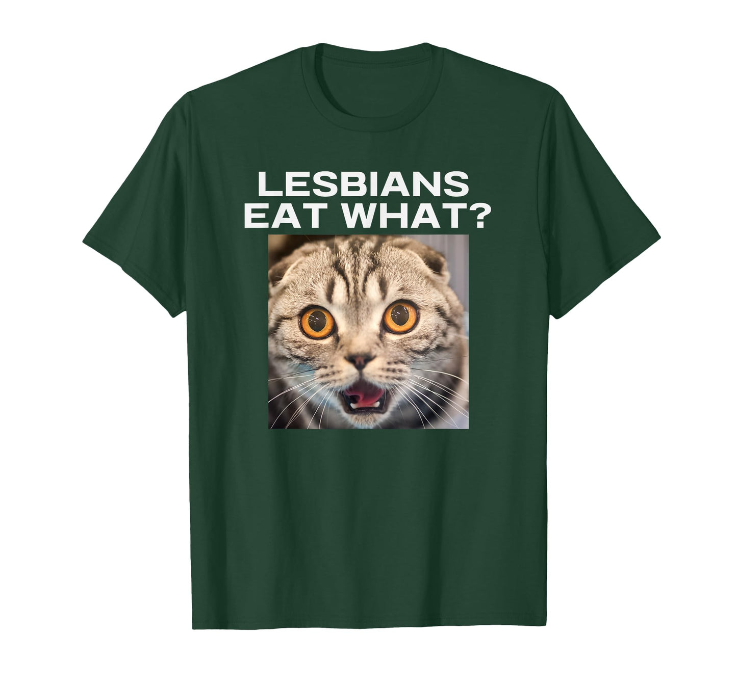 Lesbians Eat What Adult Humor Pun Gag Funny Statement Joke T-Shirt