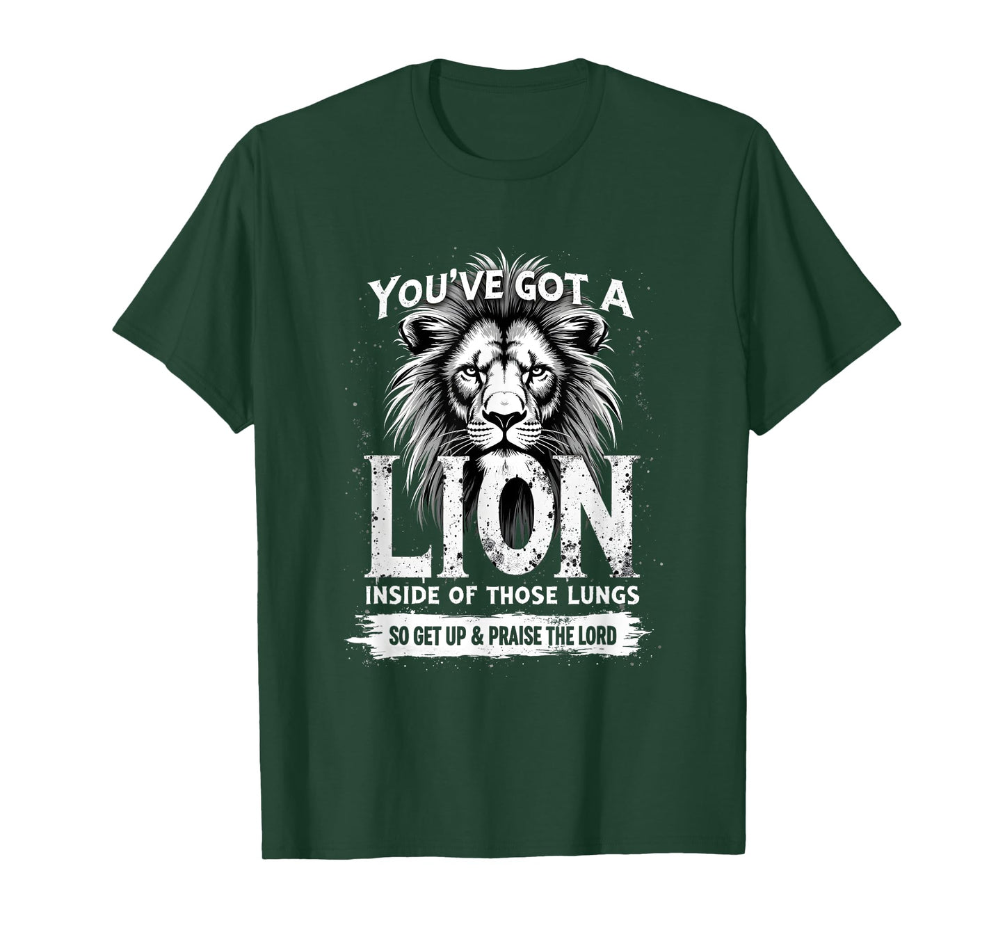 You've Got A Lion Praise The Lord Christian Worship Gift T-Shirt