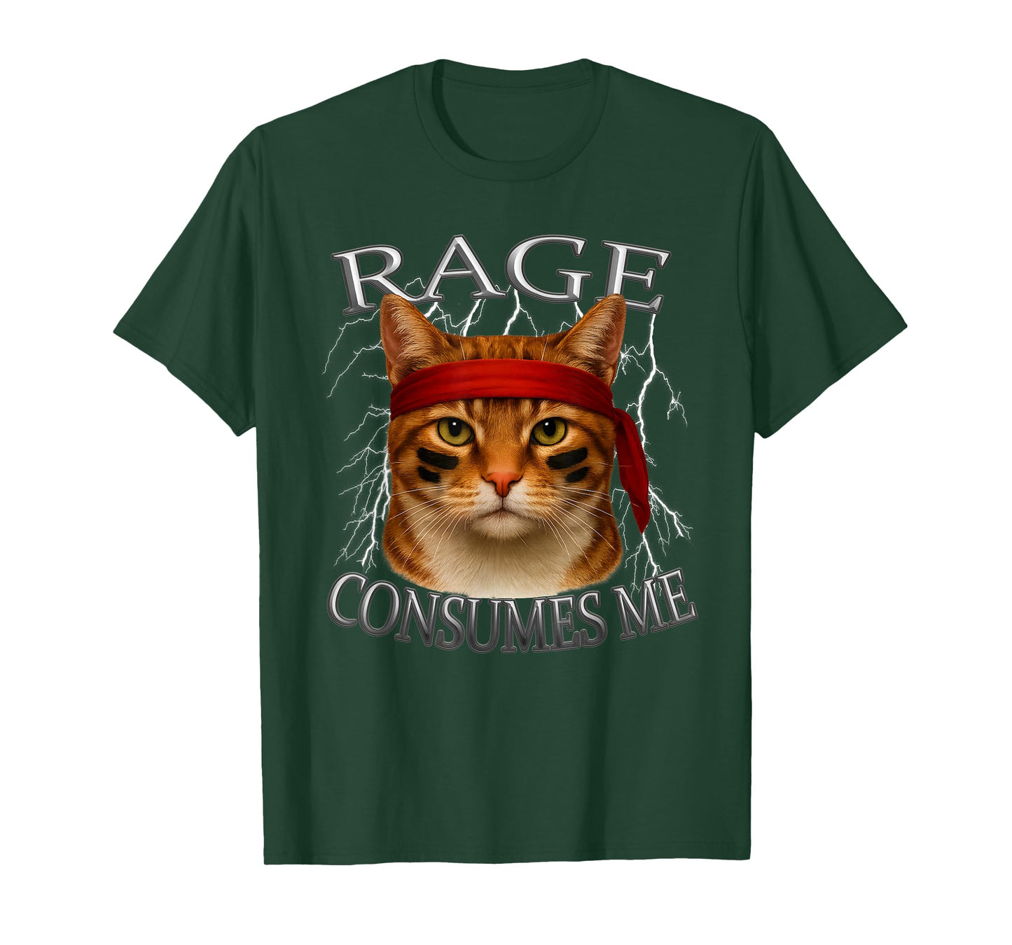 Orange Tabby Cat Meme Internet Sarcastic Rage Consumes Me T-Shirt