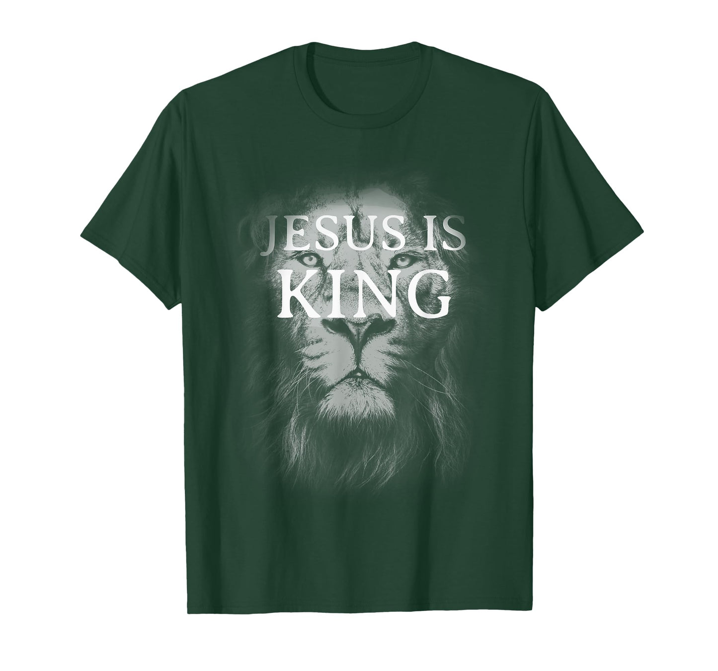 Christian Jesus is King Lion Design Faded Distressed Vintage T-Shirt
