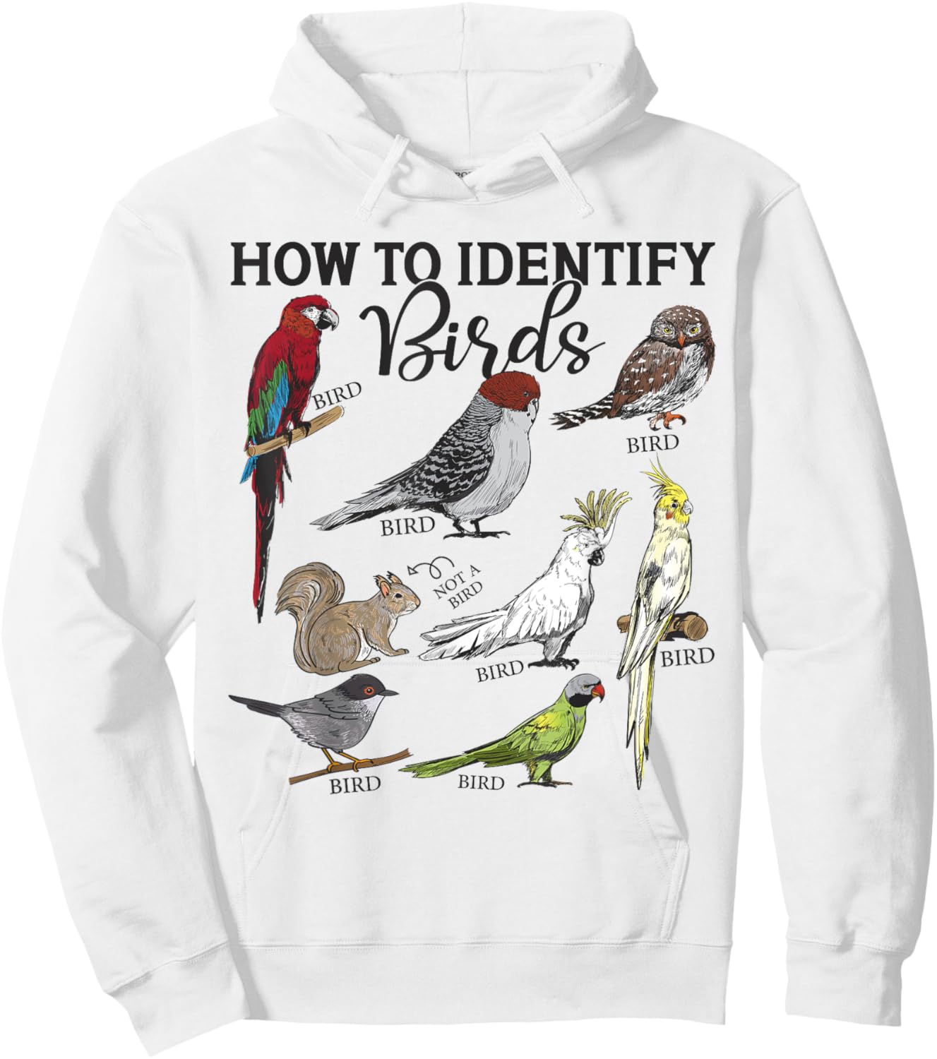 How To Identify Birds Squirrel Funny Bird Watching Birding Hoodie - Hoodie | White