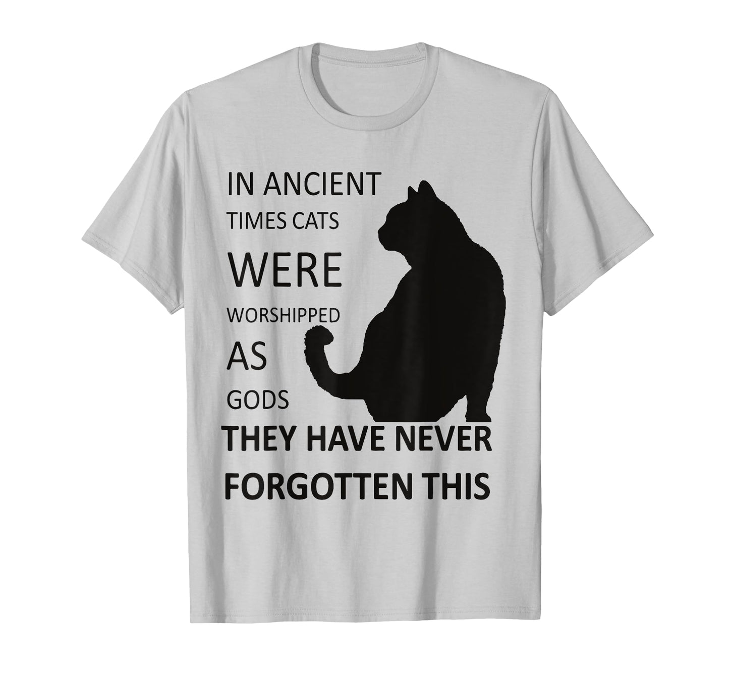 In Ancient Times Cats Were Worshipped As Gods v1 T-Shirt