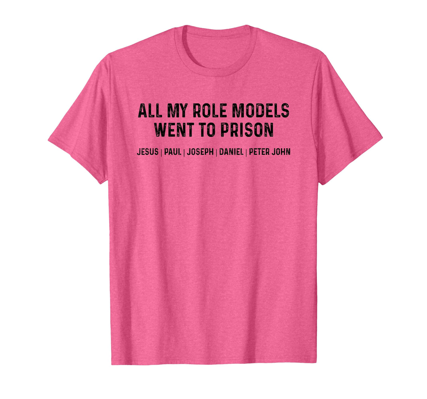 All My Role Models Went To Prison T-Shirt