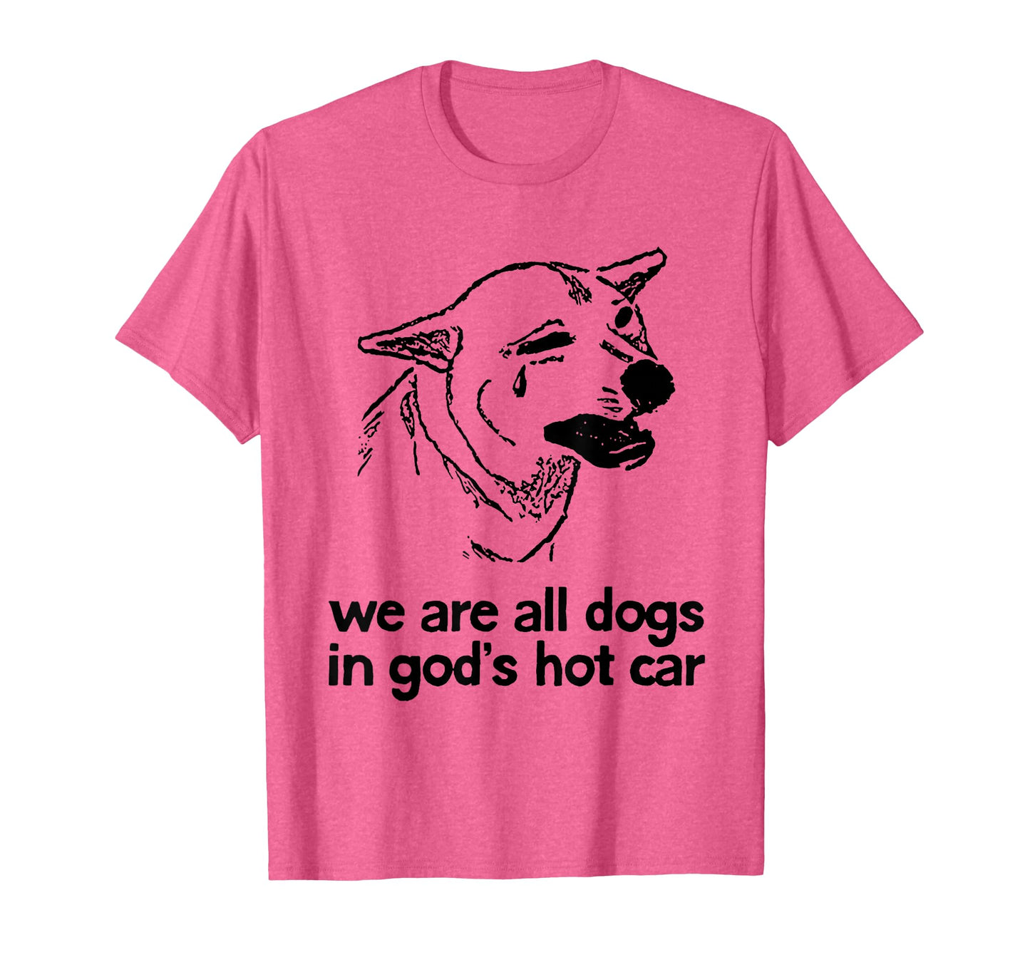 We are All Dogs in God's Hot Car Funny Dog Meme T-Shirt