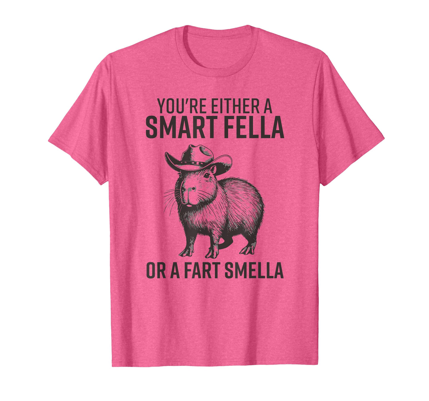 You're Either A Smart Fella Or A Fart Smella Funny Capybara T-Shirt