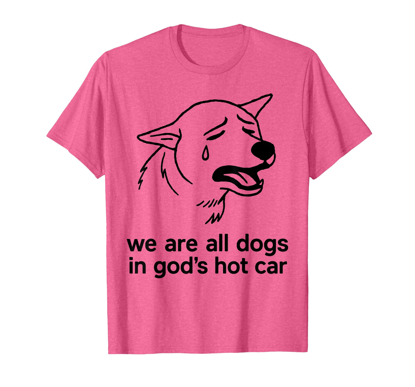 We are All Dogs in God's Hot Car Funny Dog Meme T-Shirt