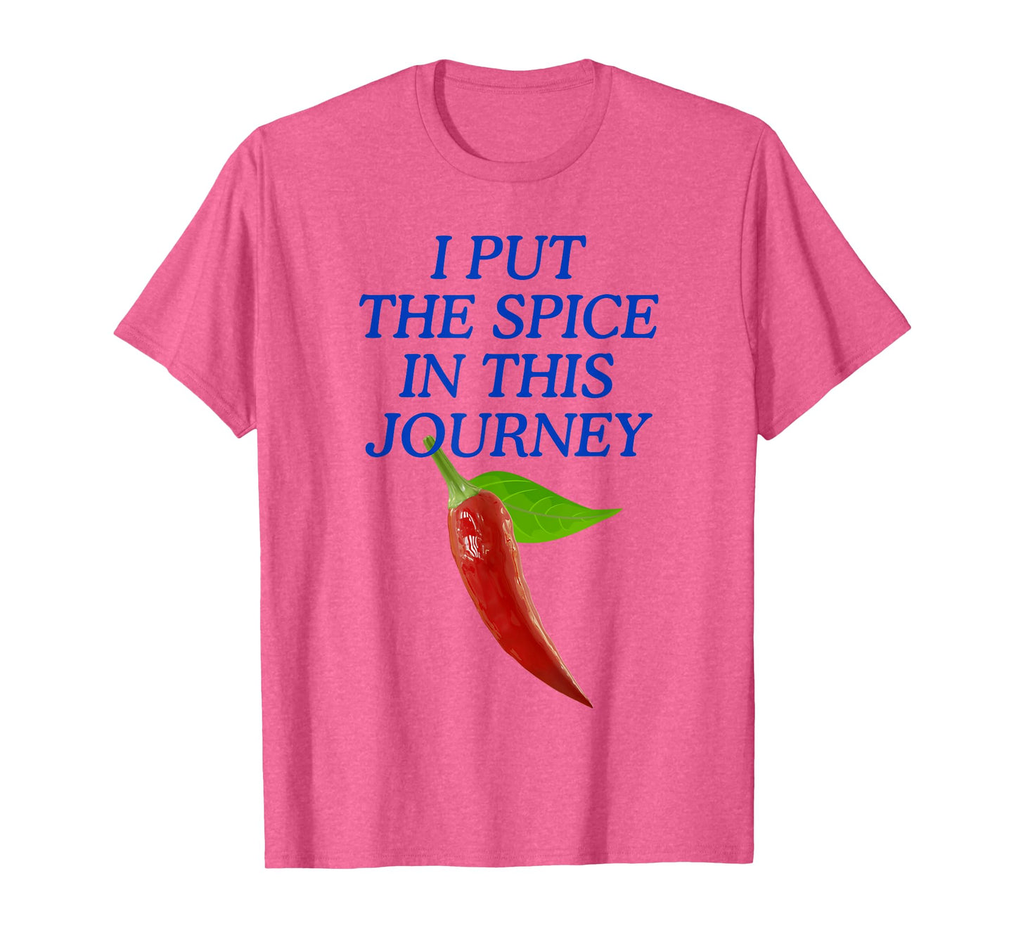 I Put The Spice in This Journey T-Shirt